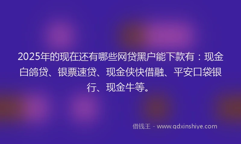 2025年的现在还有哪些网贷黑户能下款有：现金白鸽贷、银票速贷、现金侠快借融、平安口袋银行、现金牛等。
