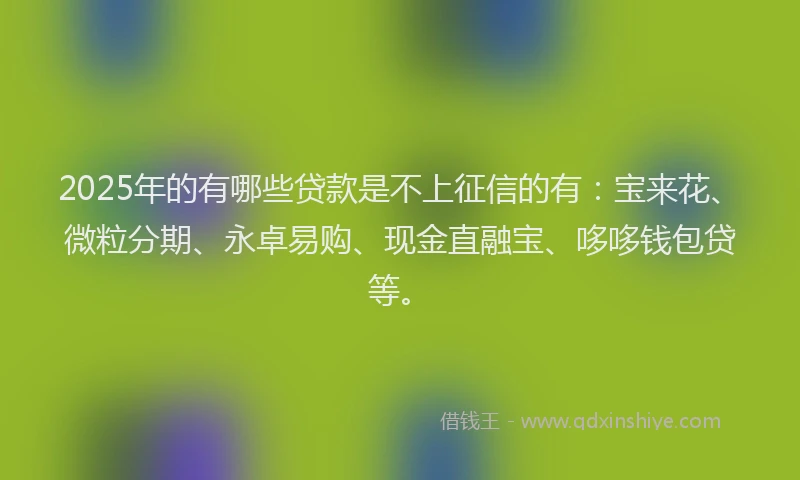 2025年的有哪些贷款是不上征信的有：宝来花、微粒分期、永卓易购、现金直融宝、哆哆钱包贷等。