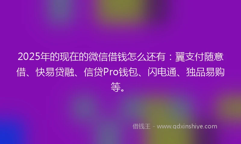2025年的现在的微信借钱怎么还有：翼支付随意借、快易贷融、信贷Pro钱包、闪电通、独品易购等。