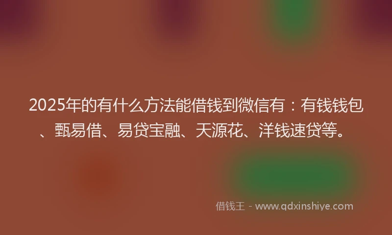 2025年的有什么方法能借钱到微信有：有钱钱包、甄易借、易贷宝融、天源花、洋钱速贷等。