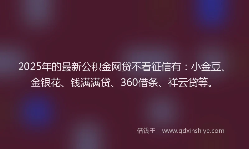 2025年的最新公积金网贷不看征信有：小金豆、金银花、钱满满贷、360借条、祥云贷等。