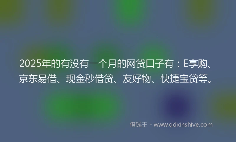2025年的有没有一个月的网贷口子有：E享购、京东易借、现金秒借贷、友好物、快捷宝贷等。