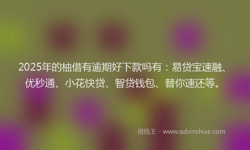 2025年的柚借有逾期好下款吗有：易贷宝速融、优秒通、小花快贷、智贷钱包、替你速还等。