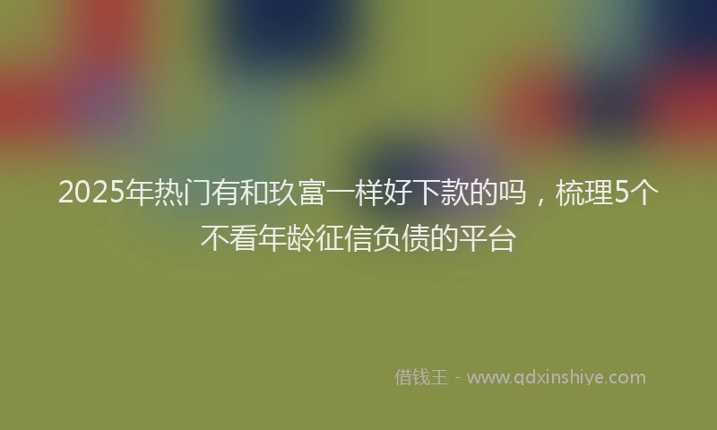 2025年热门有和玖富一样好下款的吗，梳理5个不看年龄征信负债的平台