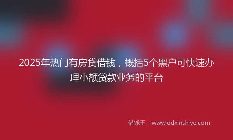 2025年热门有房贷借钱，概括5个黑户可快速办理小额贷款业务的平台