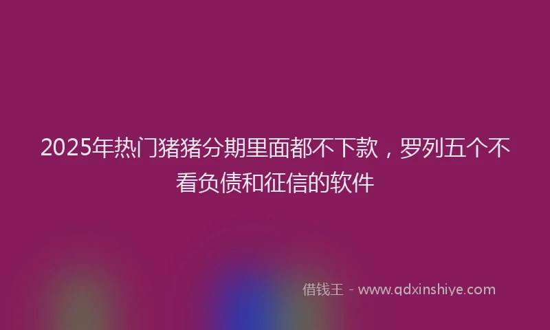 2025年热门猪猪分期里面都不下款，罗列五个不看负债和征信的软件