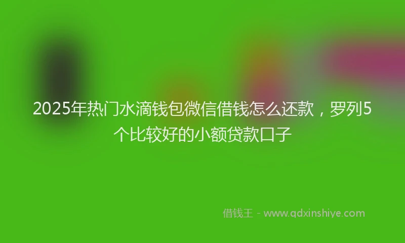 2025年热门水滴钱包微信借钱怎么还款，罗列5个比较好的小额贷款口子