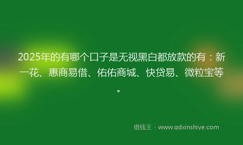 2025年的有哪个口子是无视黑白都放款的有：新一花、惠商易借、佑佑商城、快贷易、微粒宝等。