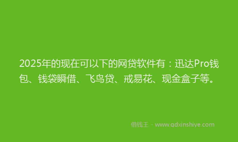 2025年的现在可以下的网贷软件有：迅达Pro钱包、钱袋瞬借、飞鸟贷、戒易花、现金盒子等。