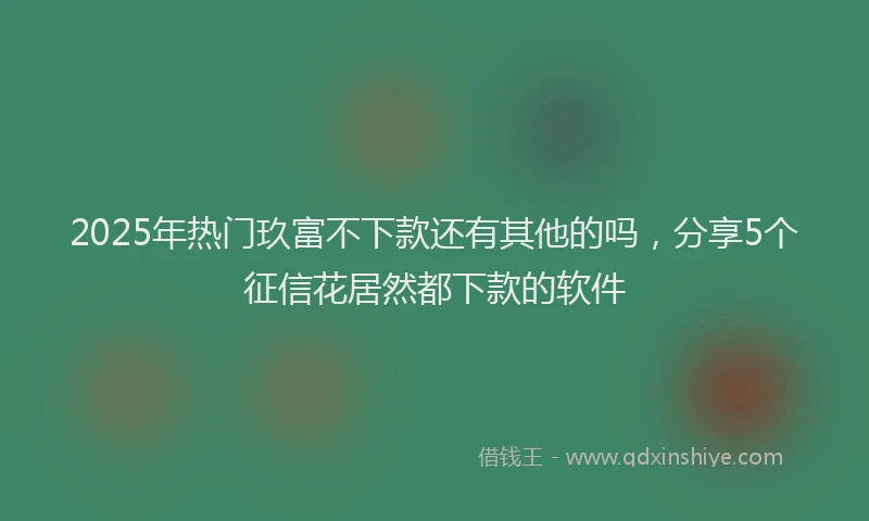 2025年热门玖富不下款还有其他的吗，分享5个征信花居然都下款的软件
