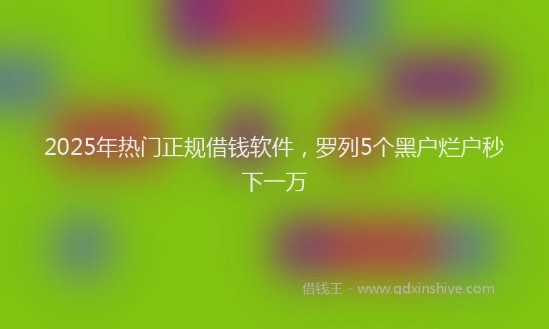2025年热门正规借钱软件，罗列5个黑户烂户秒下一万