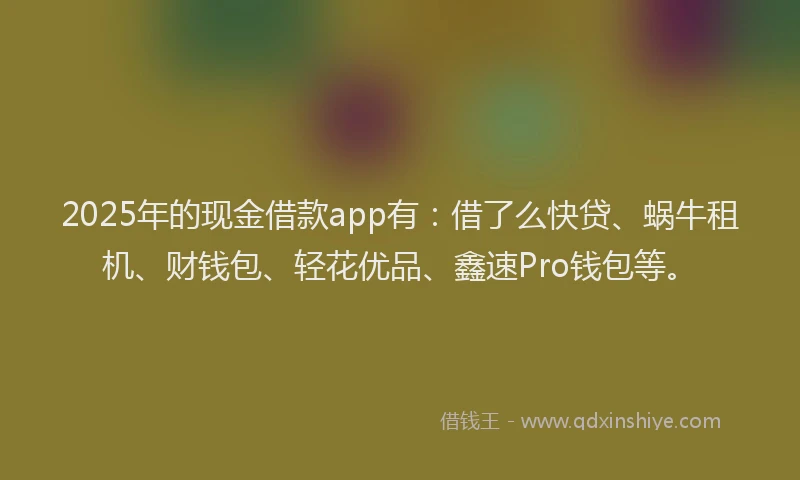 2025年的现金借款app有：借了么快贷、蜗牛租机、财钱包、轻花优品、鑫速Pro钱包等。