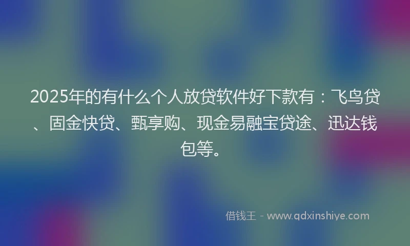 2025年的有什么个人放贷软件好下款有：飞鸟贷、固金快贷、甄享购、现金易融宝贷途、迅达钱包等。