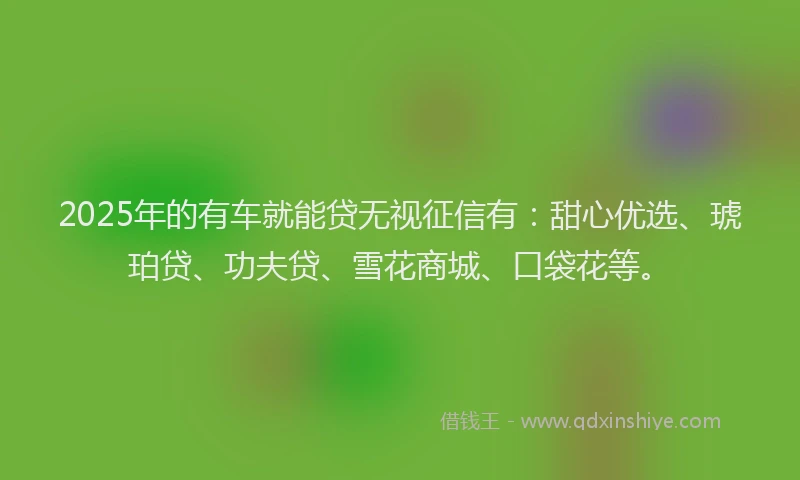 2025年的有车就能贷无视征信有：甜心优选、琥珀贷、功夫贷、雪花商城、口袋花等。