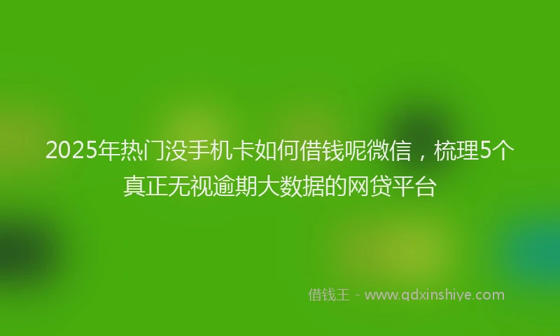 2025年热门没手机卡如何借钱呢微信，梳理5个真正无视逾期大数据的网贷平台