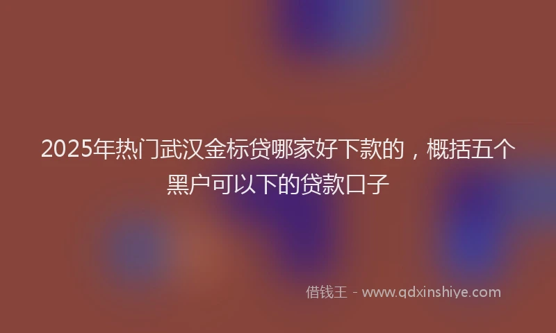 2025年热门武汉金标贷哪家好下款的，概括五个黑户可以下的贷款口子