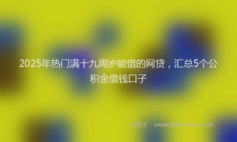 2025年热门满十九周岁能借的网贷，汇总5个公积金借钱口子