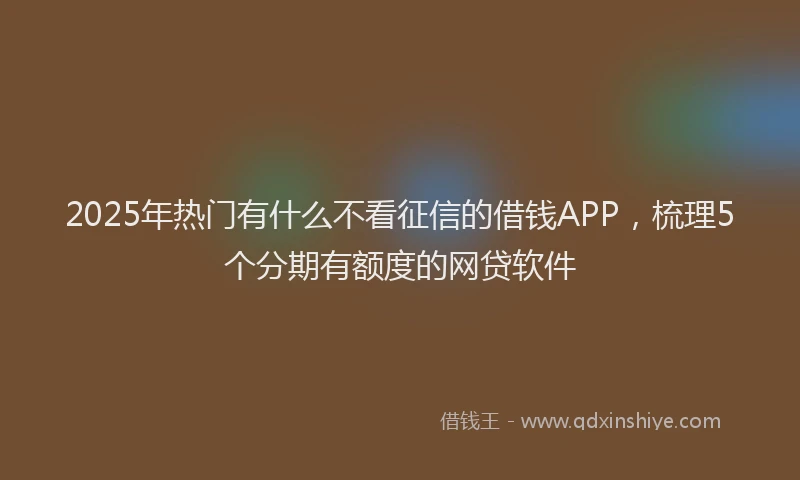 2025年热门有什么不看征信的借钱APP，梳理5个分期有额度的网贷软件