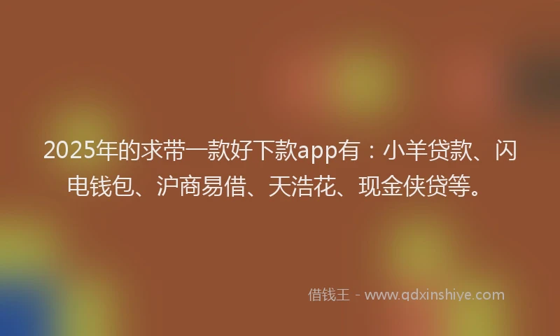 2025年的求带一款好下款app有：小羊贷款、闪电钱包、沪商易借、天浩花、现金侠贷等。