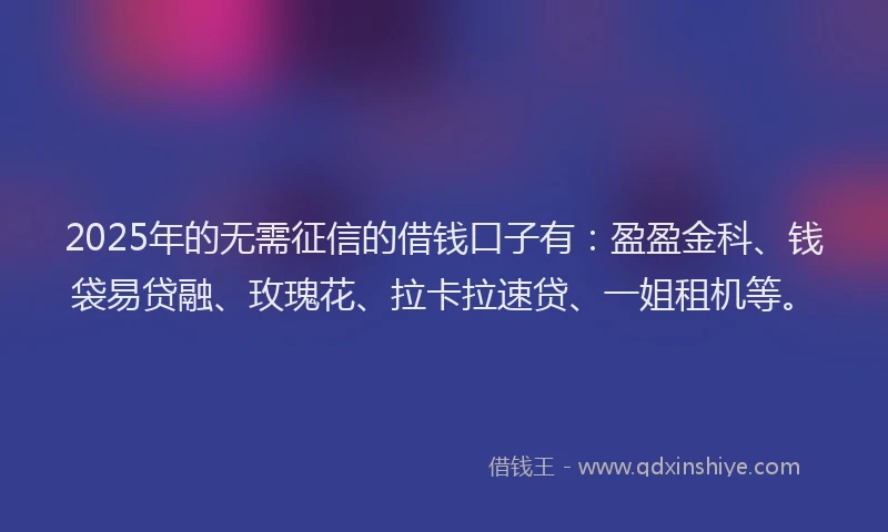 2025年的无需征信的借钱口子有：盈盈金科、钱袋易贷融、玫瑰花、拉卡拉速贷、一姐租机等。