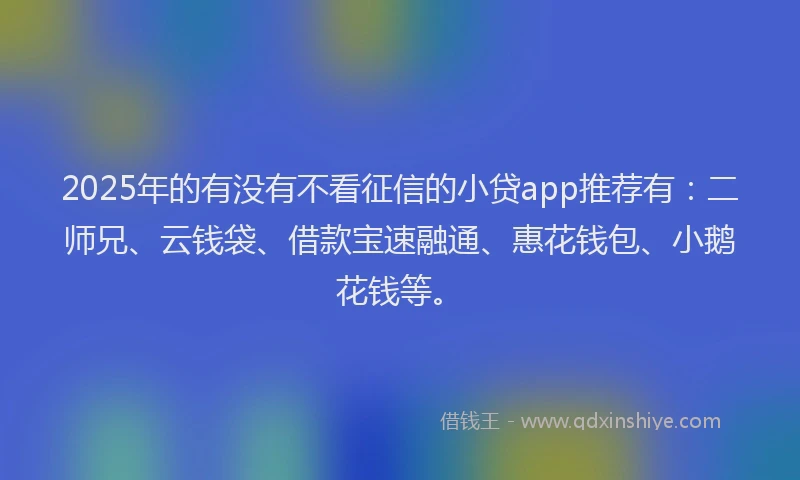 2025年的有没有不看征信的小贷app推荐有：二师兄、云钱袋、借款宝速融通、惠花钱包、小鹅花钱等。