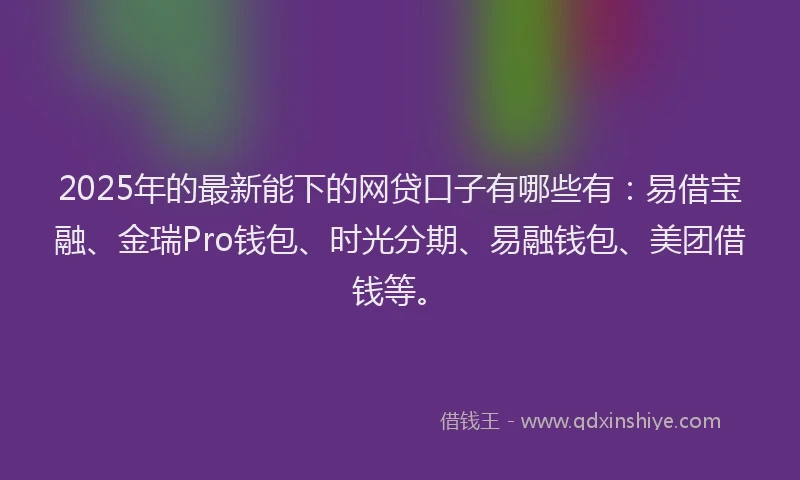 2025年的最新能下的网贷口子有哪些有：易借宝融、金瑞Pro钱包、时光分期、易融钱包、美团借钱等。