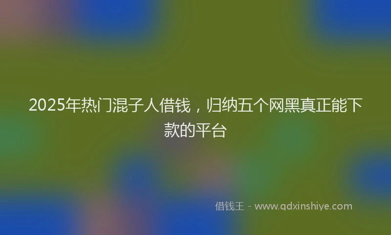 2025年热门混子人借钱，归纳五个网黑真正能下款的平台