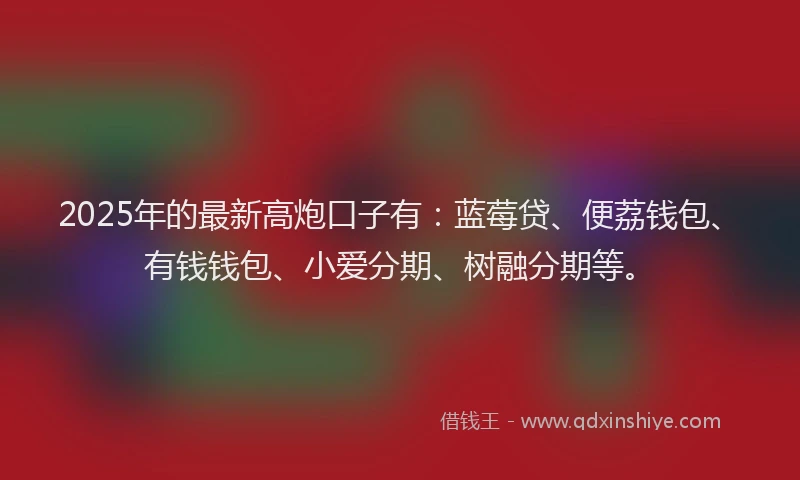 2025年的最新高炮口子有：蓝莓贷、便荔钱包、有钱钱包、小爱分期、树融分期等。