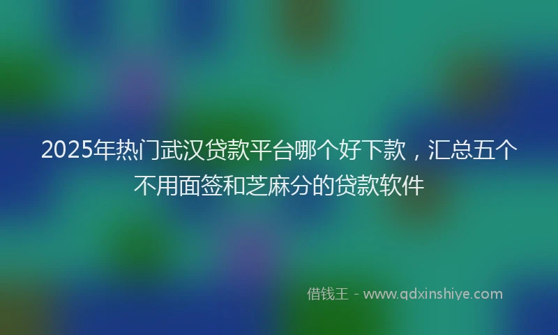 2025年热门武汉贷款平台哪个好下款，汇总五个不用面签和芝麻分的贷款软件