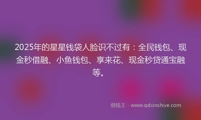 2025年的星星钱袋人脸识不过有：全民钱包、现金秒借融、小鱼钱包、享来花、现金秒贷通宝融等。