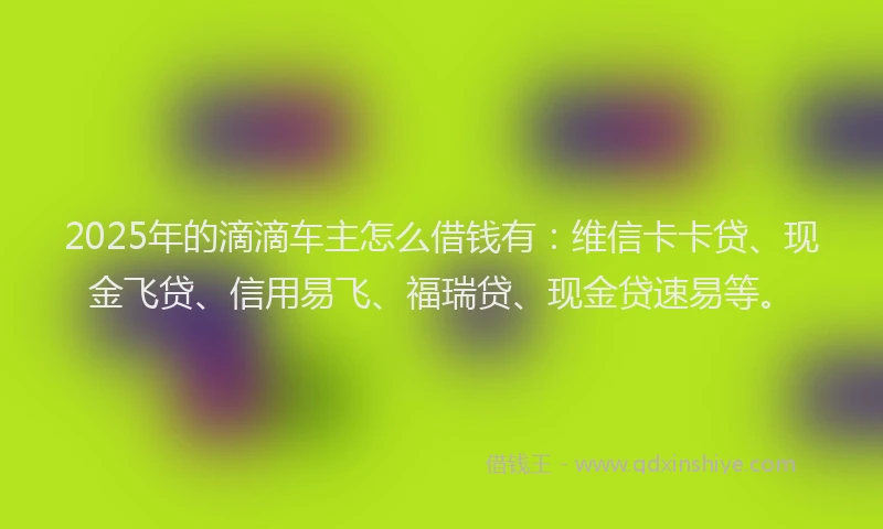 2025年的滴滴车主怎么借钱有：维信卡卡贷、现金飞贷、信用易飞、福瑞贷、现金贷速易等。