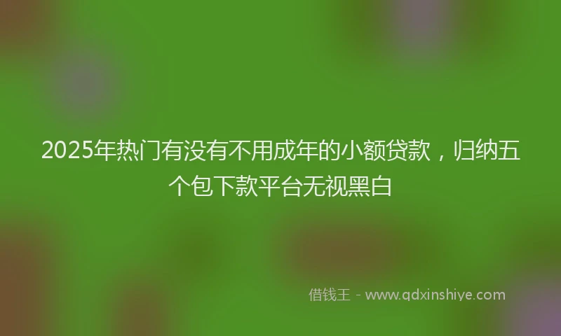 2025年热门有没有不用成年的小额贷款，归纳五个包下款平台无视黑白