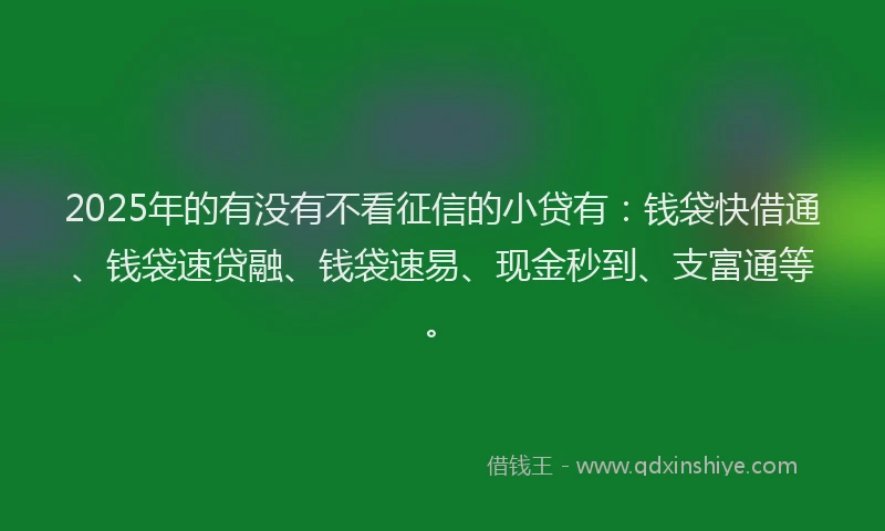 2025年的有没有不看征信的小贷有：钱袋快借通、钱袋速贷融、钱袋速易、现金秒到、支富通等。