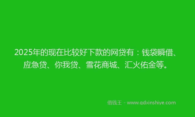 2025年的现在比较好下款的网贷有：钱袋瞬借、应急贷、你我贷、雪花商城、汇火佑金等。