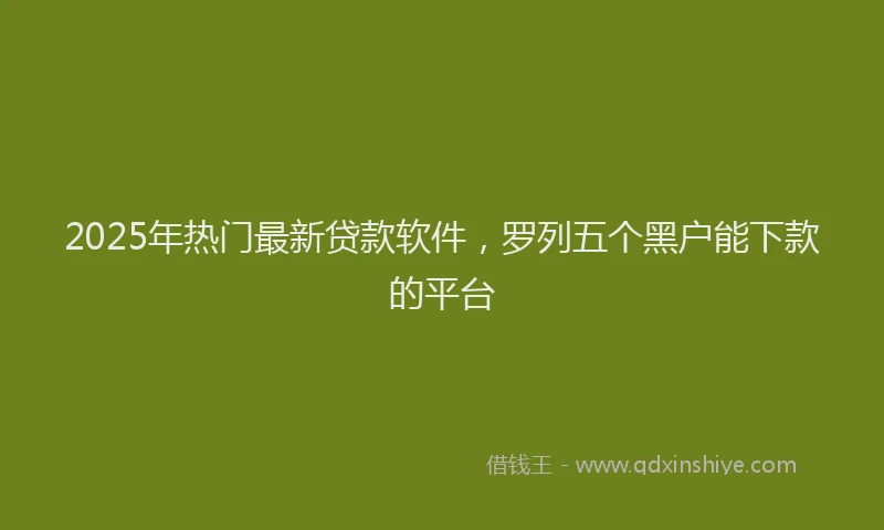 2025年热门最新贷款软件，罗列五个黑户能下款的平台