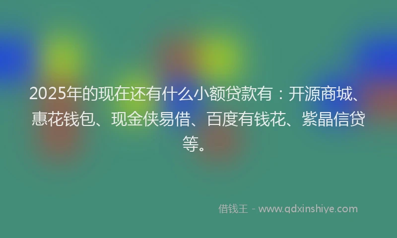 2025年的现在还有什么小额贷款有：开源商城、惠花钱包、现金侠易借、百度有钱花、紫晶信贷等。