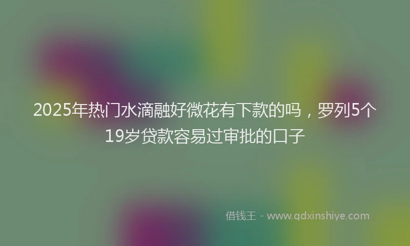 2025年热门水滴融好微花有下款的吗，罗列5个19岁贷款容易过审批的口子