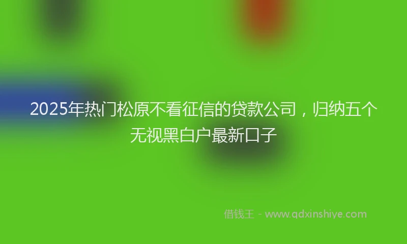 2025年热门松原不看征信的贷款公司，归纳五个无视黑白户最新口子