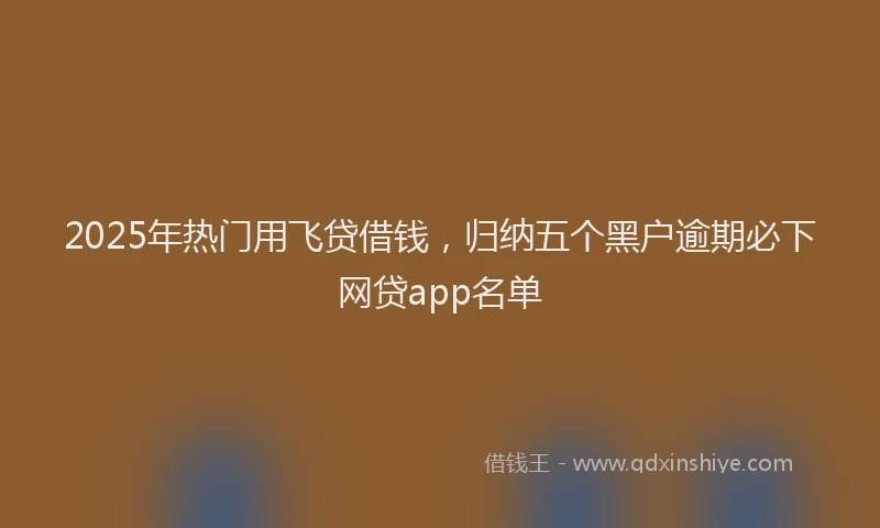2025年热门用飞贷借钱，归纳五个黑户逾期必下网贷app名单