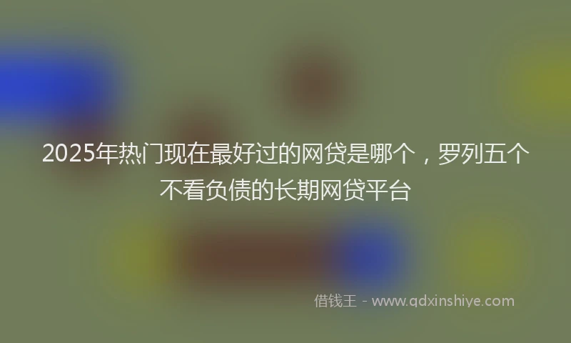 2025年热门现在最好过的网贷是哪个，罗列五个不看负债的长期网贷平台