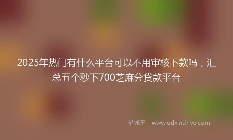 2025年热门有什么平台可以不用审核下款吗，汇总五个秒下700芝麻分贷款平台