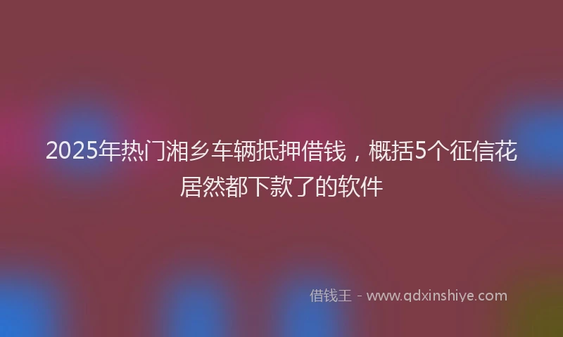 2025年热门湘乡车辆抵押借钱，概括5个征信花居然都下款了的软件