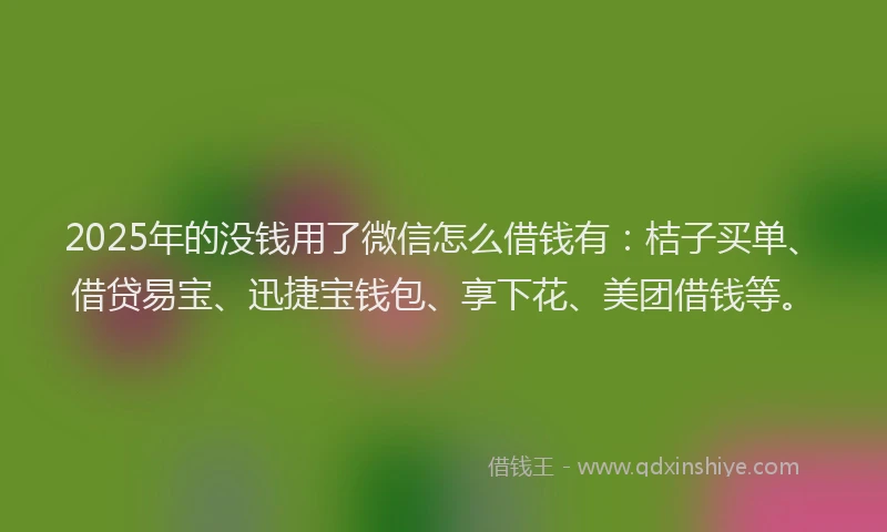 2025年的没钱用了微信怎么借钱有：桔子买单、借贷易宝、迅捷宝钱包、享下花、美团借钱等。