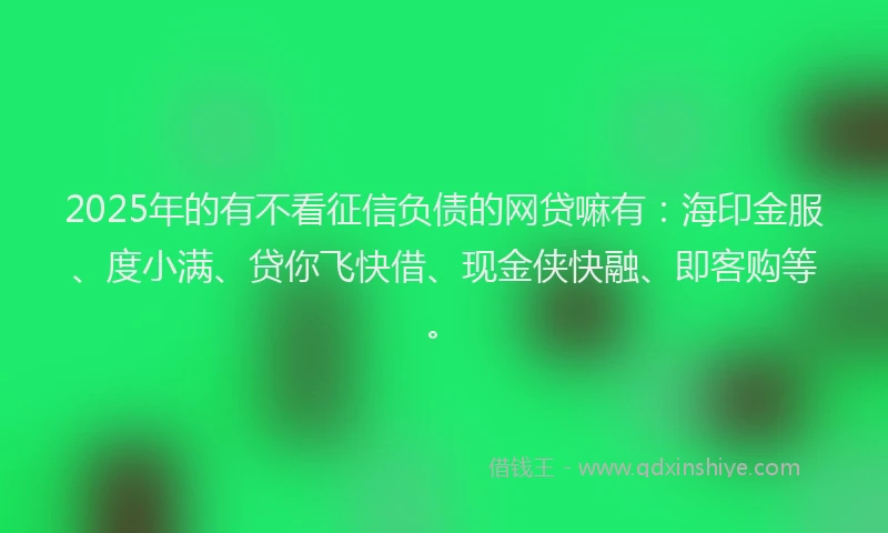 2025年的有不看征信负债的网贷嘛有：海印金服、度小满、贷你飞快借、现金侠快融、即客购等。