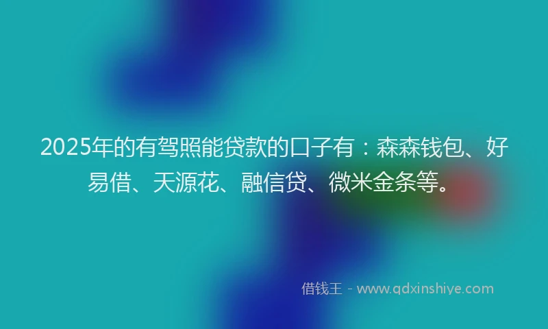 2025年的有驾照能贷款的口子有：森森钱包、好易借、天源花、融信贷、微米金条等。