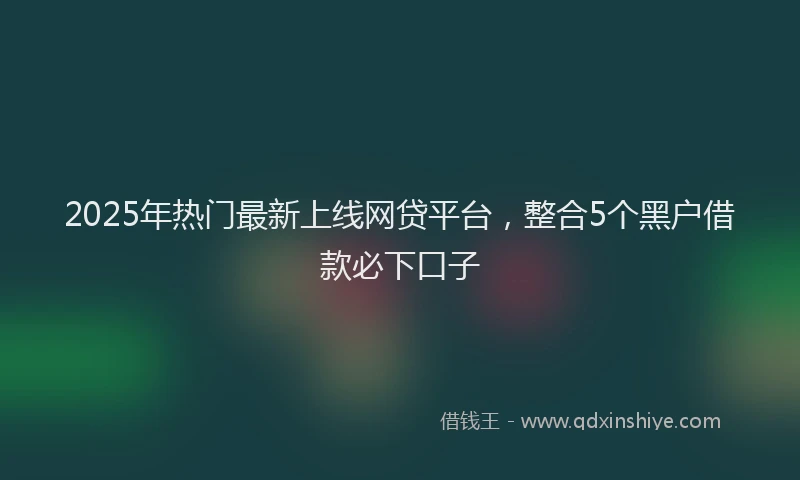2025年热门最新上线网贷平台，整合5个黑户借款必下口子