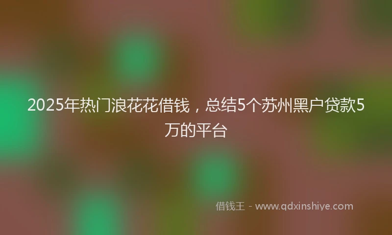 2025年热门浪花花借钱，总结5个苏州黑户贷款5万的平台