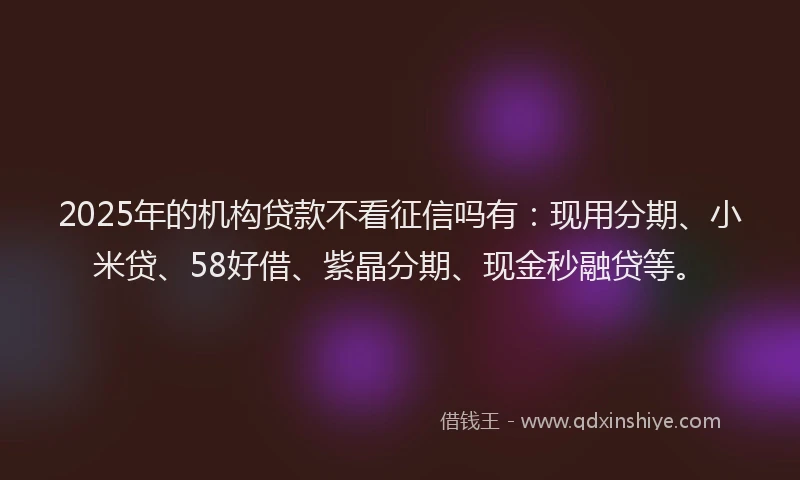 2025年的机构贷款不看征信吗有：现用分期、小米贷、58好借、紫晶分期、现金秒融贷等。