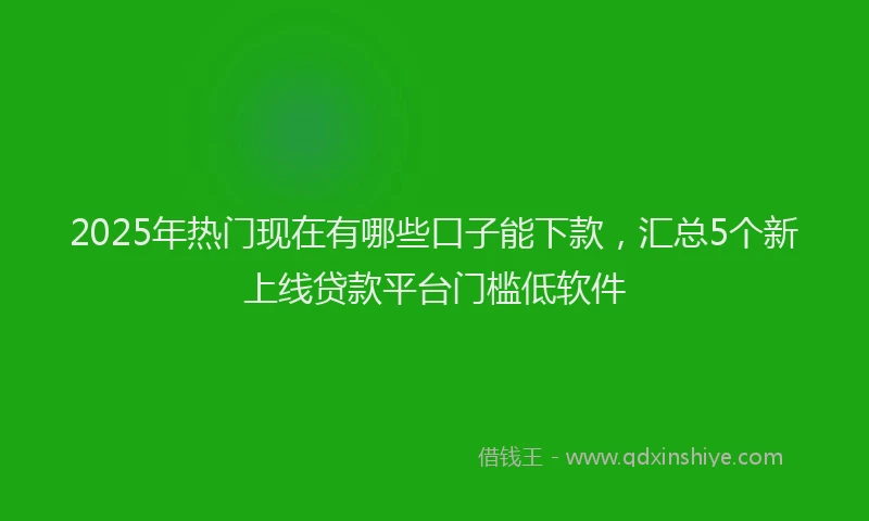 2025年热门现在有哪些口子能下款，汇总5个新上线贷款平台门槛低软件