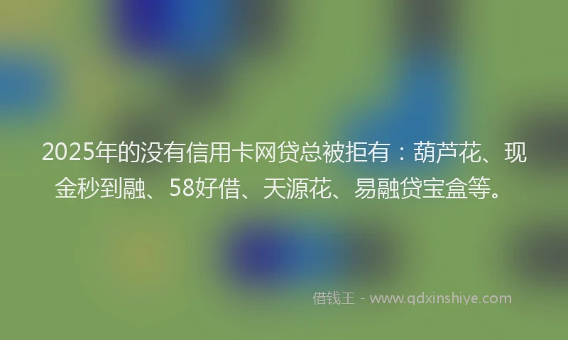 2025年的没有信用卡网贷总被拒有：葫芦花、现金秒到融、58好借、天源花、易融贷宝盒等。